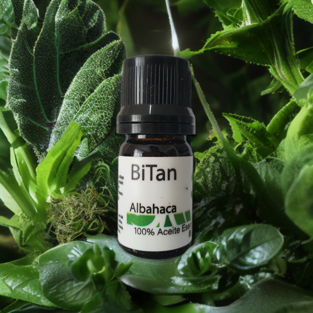 Bitan Aceite esencial Albahaca 5 ml