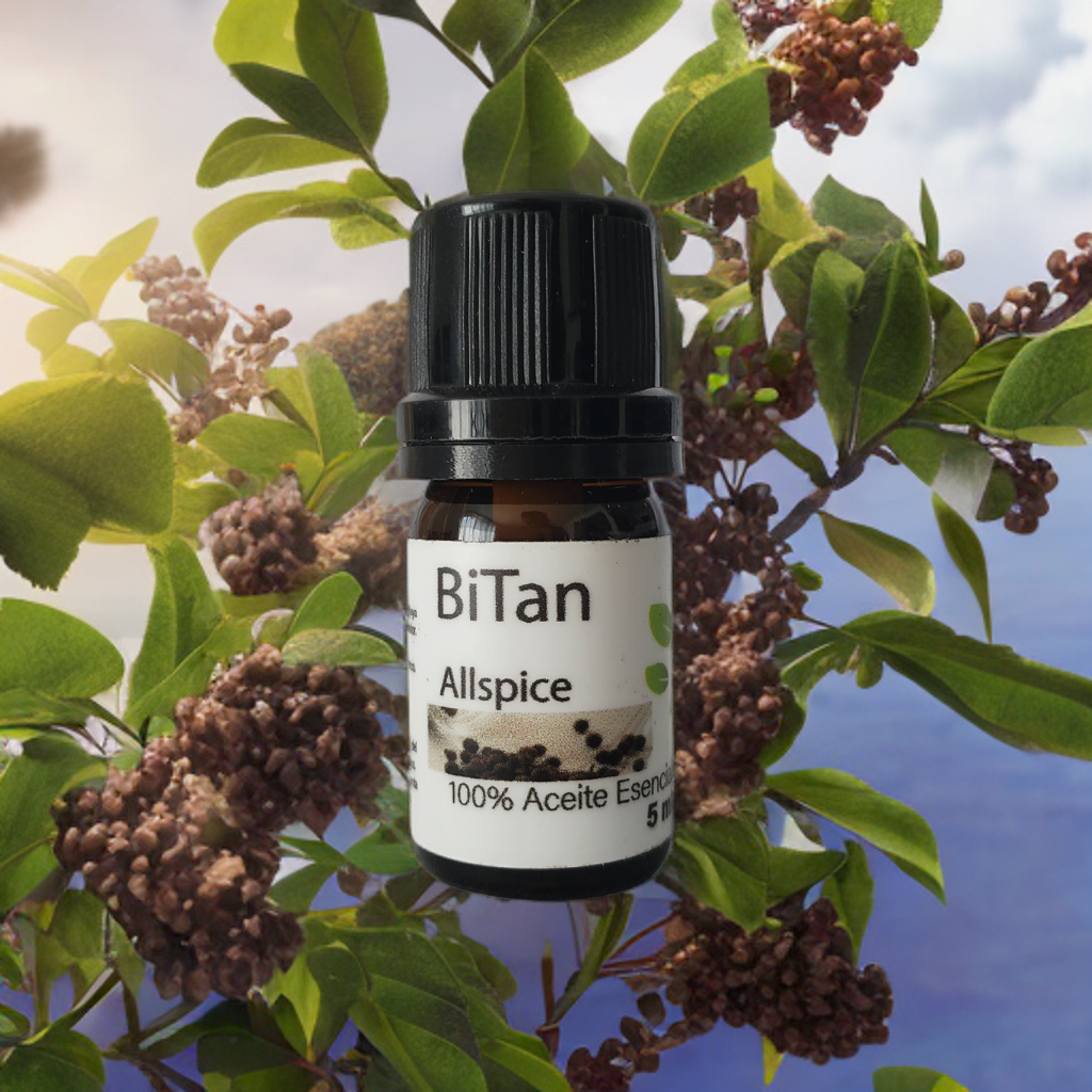 Bitan Aceite esencial Allspice 5 ml