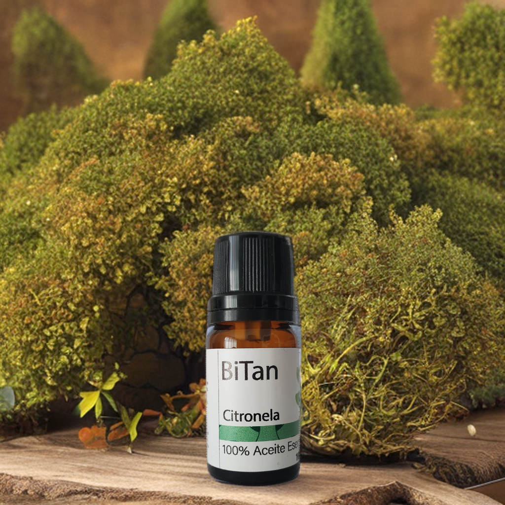 Bitan Aceite esencial Citronela 10 ml