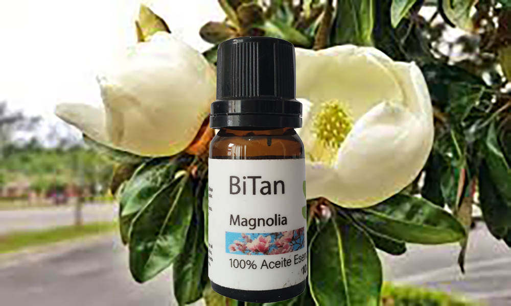Bitan Aceite esencial Magnolia 10 ml