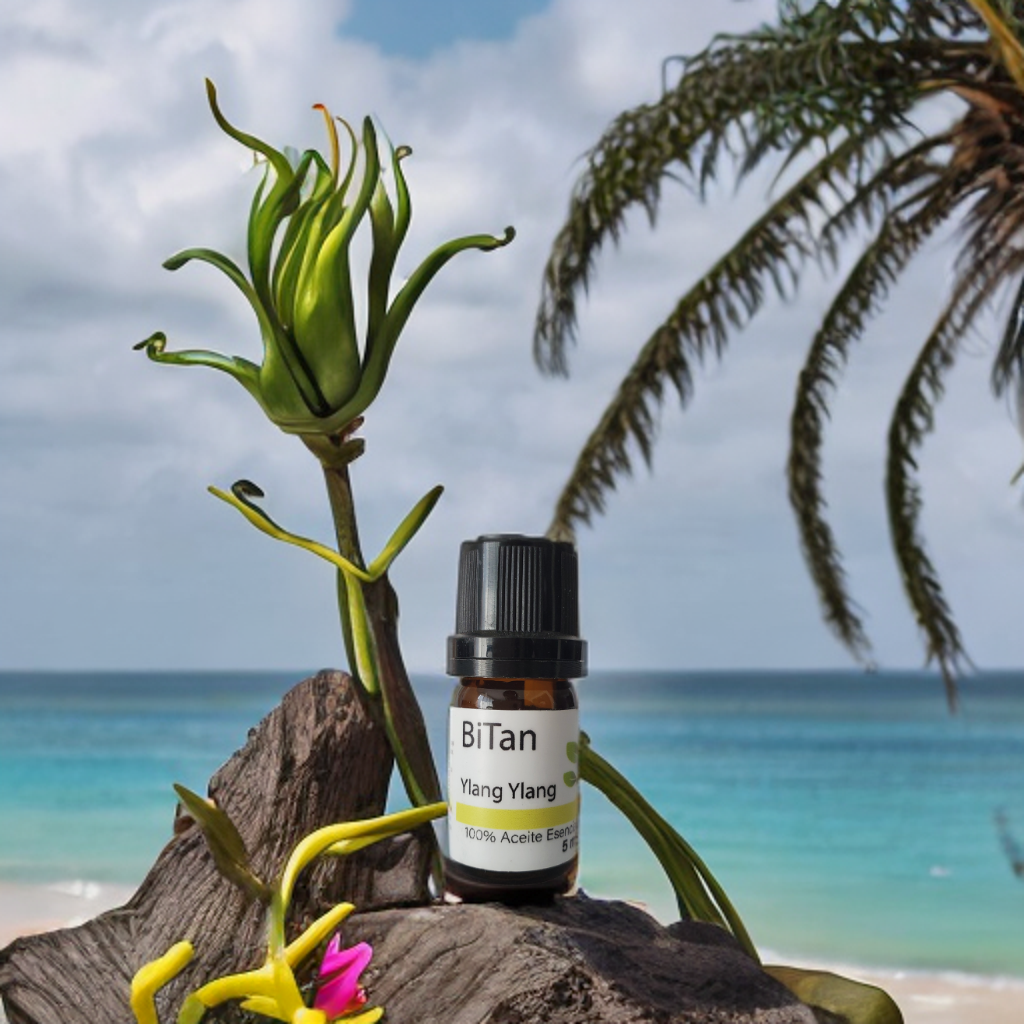 Bitan Aceite esencial Ylang Ylang 5 ml