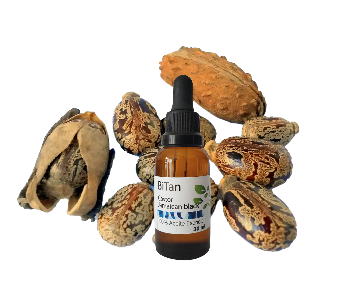 Bitan Aceite Portador Castor black Jamaican 30 ml
