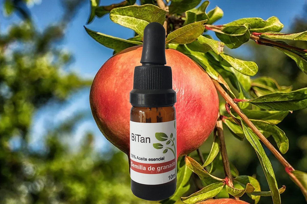 Bitan Aceite Portador Semilla de Granada 10 ml GOT